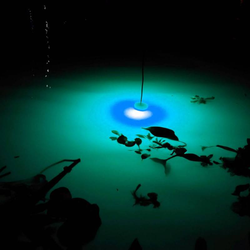 Mini Fishing Attraction Lamp G - Fishing Boat Navigation Light reseña y precio