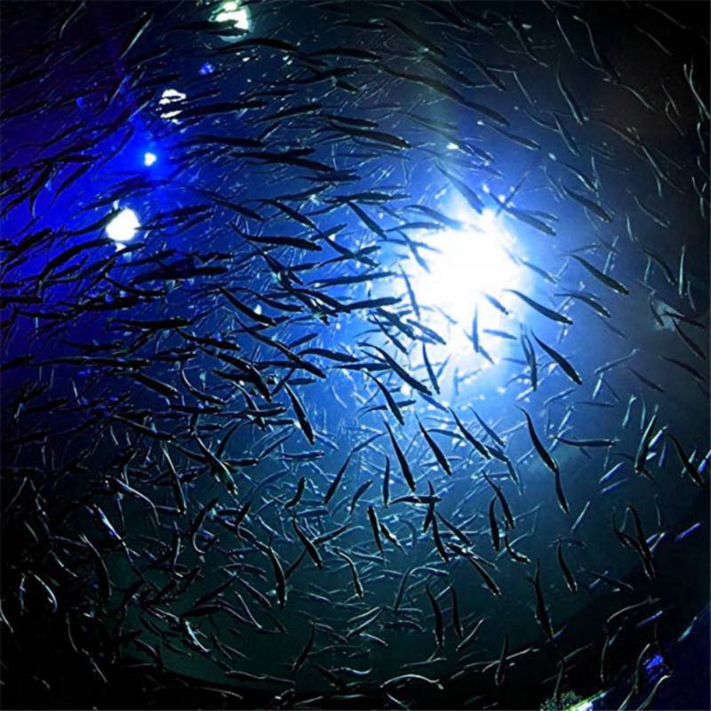 Mini Fishing Attraction Lamp G - Fishing Boat Navigation Light reseña y precio