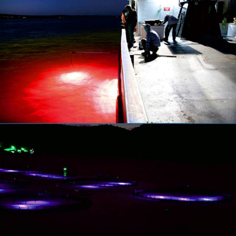 Mini Fishing Attraction Lamp G - Fishing Boat Navigation Light reseña y precio